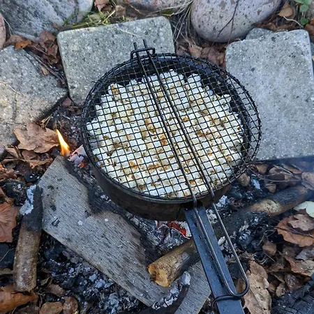 Natural Setting With An Outdoor Kitchen 펜션 Højby